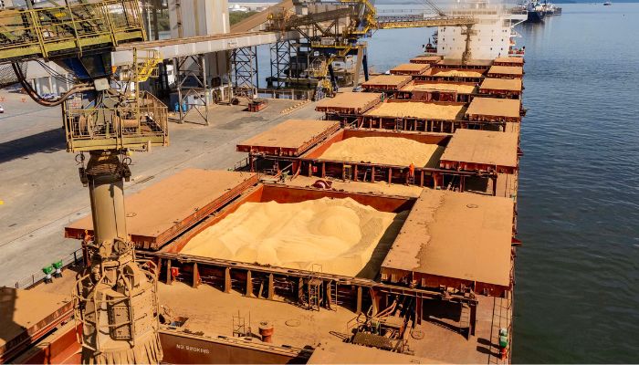 Soja responde por 21% da movimentação e lidera exportações no Paraná